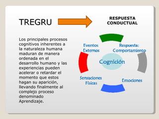 Los principales procesos cognitivos inherentes a la naturaleza humana maduran de manera ordenada en el desarrollo humano y las experiencias pueden acelerar o retardar el momento que estos hagan su aparición, llevando finalmente al complejo proceso denominado Aprendizaje.  TREGRU RESPUESTA CONDUCTUAL 