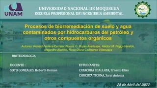 Procesos de biorremediación de suelo y agua
contaminados por hidrocarburos del petróleo y
otros compuestos orgánicos
Autores: Ronald Ferrera-Cerrato, Norma G. Rojas-Avelizapa, Héctor M. Poggi-Varaldo,
Alejandro Alarcón, Rosa Olivia Cañizares-Villanueva
DOCENTE :
SOTO GONZALES, Heberth Hernan
ESTUDIANTES:
CATACORA CCALLATA, Ernesto Elias
CHUCUYA TICONA, Sarai Antonia
BIOTECNOLOGIA
UNIVERSIDAD NACIONAL DE MOQUEGUA
ESCUELA PROFESIONAL DE INGENIERIA AMBIENTAL
28 de Abril del 2022
 