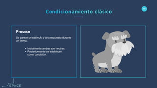 www.spacediseno.com
© 2016 Arturo Llaca. All Rights Reserved.
55
Proceso
• Inicialmente ambas son neutras.
• Posteriormente se establecen
como condición.
Se parean un estímulo y una respuesta durante
un tiempo.
 