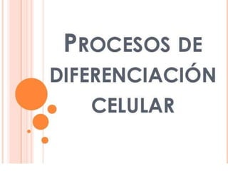 Procesos de diferenciacion celular