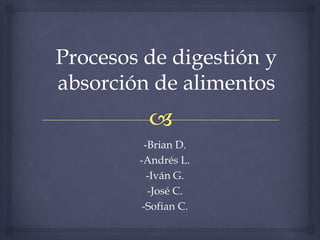 -Brian D.
-Andrés L.
-Iván G.
-José C.
-Sofian C.
 