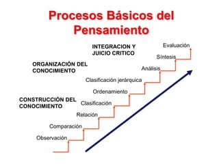 Procesos Básicos del
Pensamiento
Clasificación jerárquica
ORGANIZACIÓN DEL
CONOCIMIENTO
Evaluación
Síntesis
Análisis
INTEGRACION Y
JUICIO CRITICO
Ordenamiento
Clasificación
Relación
Comparación
Observación
CONSTRUCCIÓN DEL
CONOCIMIENTO
 