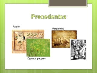 Papiro
Cyperus papyrus
Pergamino
 