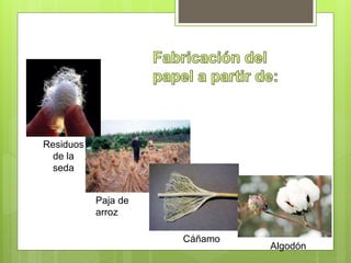 Residuos
de la
seda
Paja de
arroz
Cáñamo
Algodón
 