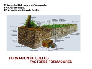 FORMACION DE SUELOS. FACTORES FORMADORES Universidad Bolivariana de Venezuela. PFG Agroecología. UC Aprovechamiento de Suelos.  