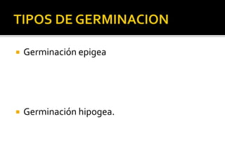  Germinación epigea
 Germinación hipogea.
 