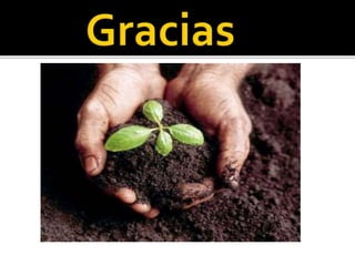 Procesos de germinacion de la semilla