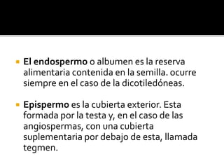 El endospermo o albumen es la reserva
alimentaria contenida en la semilla. ocurre
siempre en el caso de la dicotiledóneas.
 Epispermo es la cubierta exterior. Esta
formada por la testa y, en el caso de las
angiospermas, con una cubierta
suplementaria por debajo de esta, llamada
tegmen.
 