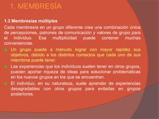 1. MEMBRESÍA
1.3 Membresías múltiples
Cada membresía en un grupo diferente crea una combinación única
de percepciones, patrones de comunicación y valores de grupo para
el individuo. Esa multiplicidad puede contener muchas
conveniencias.
 Un grupo puede a menudo lograr con mayor rapidez sus
   objetivos, debido a los distintos contactos que cada uno de sus
   miembros puede tener.
 Las experiencias que los individuos suelen tener en otros grupos,
   pueden aportar riqueza de ideas para solucionar problemáticas
   en los nuevos grupos en los que se encuentran.
 El individuo, en su naturaleza, suele aprender de experiencias
   desagradables con otros grupos para evitarlas en grupos
   posteriores.
 