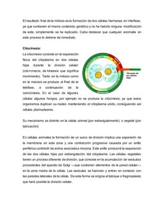 El resultado final de la mitosis es la formación de dos células hermanas en interfase,
ya que contienen el mismo contenido genético y no ha habido ninguna modificación
de este, simplemente se ha replicado. Cabe destacar que cualquier anomalía en
este proceso lo detiene de inmediato.
Citocinesis:
La citocinesis consiste en la separación
física del citoplasma en dos células
hijas durante la división celular
(cito+cinecis, de kíneesis que significa
movimiento). Tanto en la mitosis como
en la meiosis se produce al final de la
telofase, a continuación de la
cariocinesis. En el caso de algunas
células algunos hongos, por ejemplo no se produce la citocinesis, ya que estos
organismos duplican su núcleo manteniendo el citoplasma unido, consiguiendo así
células plurinucleares.
Su mecanismo es distinto en la célula animal (por estrangulamiento) o vegetal (por
tabicación):
En células animales la formación de un surco de división implica una expansión de
la membrana en esta zona y una contracción progresiva causada por un anillo
periférico contráctil de actina asociadaa miosina. Este anillo producirá la separación
de las dos células hijas por estrangulación del citoplasma. Las células vegetales
tienen un proceso diferente de división, que consiste en la acumulación de vesículas
procedentes del aparato de Golgi —que contienen elementos de la pared celular—
en la zona media de la célula. Las vesículas se fusionan y entran en contacto con
las paredes laterales de la célula. De esta forma se origina el tabique o fragmoplasto
que hará posible la división celular.
 