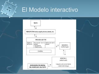 El Modelo interactivo
 