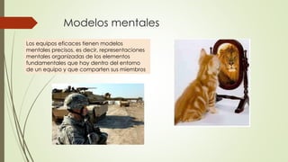 Modelos mentales
Los equipos eficaces tienen modelos
mentales precisos, es decir, representaciones
mentales organizadas de los elementos
fundamentales que hay dentro del entorno
de un equipo y que comparten sus miembros
 