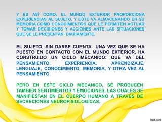 Y ES ASÍ COMO, EL MUNDO EXTERIOR PROPORCIONA
EXPERIENCIAS AL SUJETO, Y ESTE VA ALMACENANDO EN SU
MEMORIA COMO CONOCIMIENTOS QUE LE PERMITEN ACTUAR
Y TOMAR DECISIONES Y ACCIONES ANTE LAS SITUACIONES
QUE SE LE PRESENTAN DIARIAMENTE.


EL SUJETO, SIN DARSE CUENTA UNA VEZ QUE SE HA
PUESTO EN CONTACTO CON EL MUNDO EXTERIOR, HA
CONSTRUIDO UN CICLO MÉCANICO: QUE VA DEL
PENSAMIENTO,      EXPERIENCIA,    APRENDIZAJE,
LENGUAJE, CONOCIMIENTO, MEMORIA, Y OTRA VEZ AL
PENSAMIENTO.

PERO EN ESTE CICLO MÉCANICO, SE PRODUCEN
TAMBIEN SENTIMIENTOS Y EMOCIONES, LAS CUALES SE
MANIFIESTAN EN EL CUERPO HUMANO A TRAVES DE
SECRECIONES NEUROFISIOLOGICAS.
 