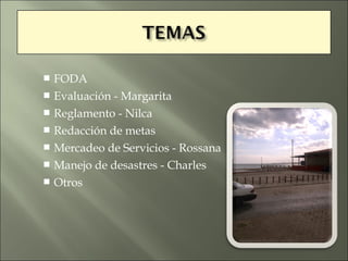  FODA
 Evaluación - Margarita
 Reglamento - Nilca
 Redacción de metas
 Mercadeo de Servicios - Rossana
 Manejo de desastres - Charles
 Otros
 