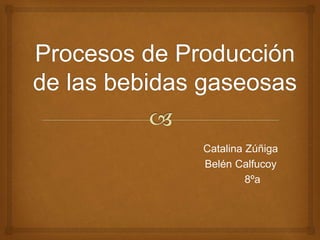 Catalina Zúñiga
Belén Calfucoy
8ºa
 
