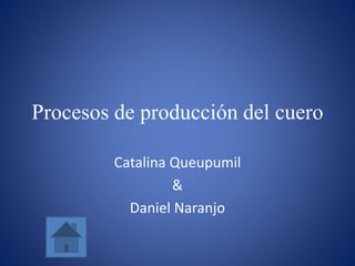 Procesos de producción del cuero
Catalina Queupumil
&
Daniel Naranjo
 