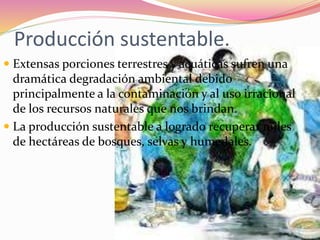 Producción sustentable.
 Extensas porciones terrestres y acuáticas sufren una
dramática degradación ambiental debido
principalmente a la contaminación y al uso irracional
de los recursos naturales que nos brindan.
 La producción sustentable a logrado recuperar miles
de hectáreas de bosques, selvas y humedales.
 