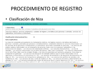 PROCEDIMIENTO DE REGISTRO
• Clasificación de Niza
 