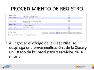PROCEDIMIENTO DE REGISTRO
• Al ingresar el código de la Clase Niza, se
despliega una breve explicación , de la Clase y
un listado de los productos o servicios de la
misma.
 