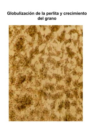 Globulización de la perlita y crecimiento
del grano

 