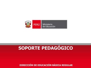 SOPORTE PEDAGÓGICO
DIRECCIÓN DE EDUCACIÓN BÁSICA REGULAR
 