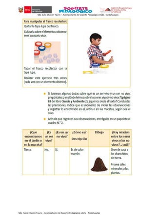 Mg. Sulio Chacón Yauris – Acompañante de Soporte Pedagógico UGEL - Andahuaylas
Mg. Sulio Chacón Yauris – Acompañante de Soporte Pedagógico UGEL - Andahuaylas
 