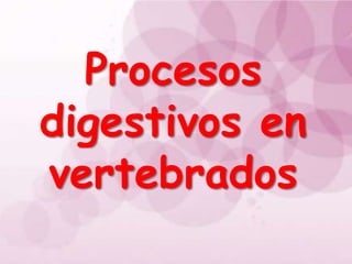Procesos digestivos en vertebrados 