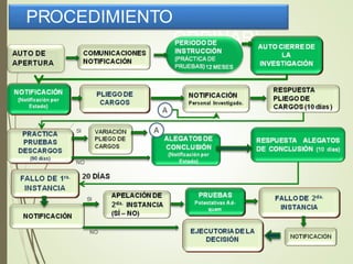 PROCEDIMIENTO
ORDINARI
O
 
