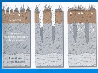 Procesos edafogeneticos