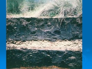 Procesos edafogeneticos