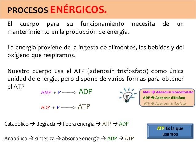 Procesos Energéticos