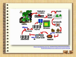 http://1.bp.blogspot.com/-2yn_99zMlr0/T0AyjzEAf6I/AAAAAAAABGE/- 
0ozdFfUlDY/s640/proceso+elaboracion+aceite+oliva.png 
 