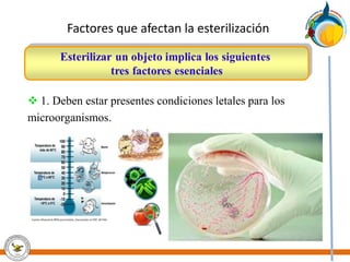 Factores que afectan la esterilización
 1. Deben estar presentes condiciones letales para los
microorganismos.
 