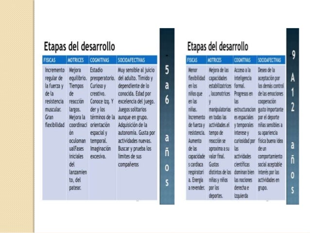 Etapas Del Mtodo Cientfico Quieres Saber Cuantas Son Y