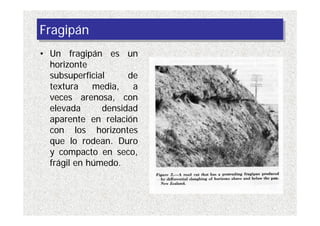 Procesos formadores | PDF
