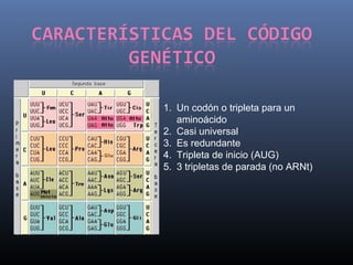Procesos geneticos | PPT