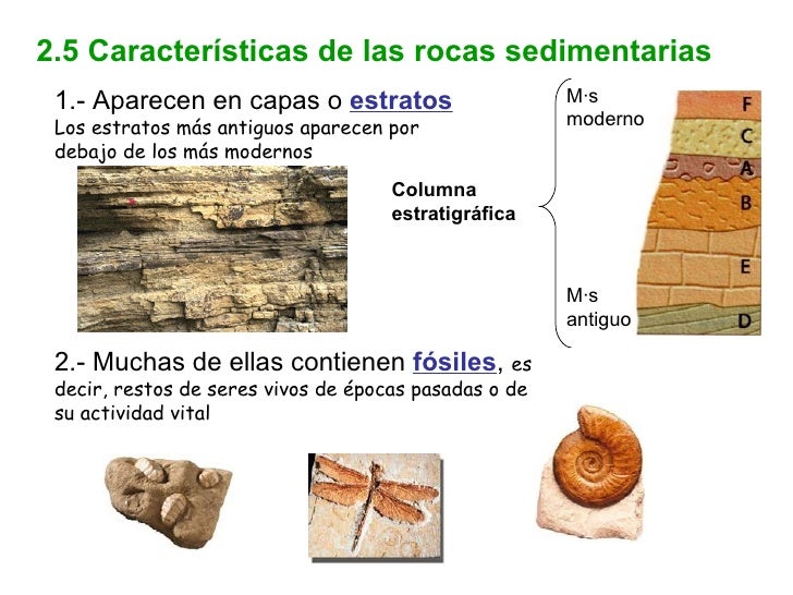 PROCESOS GEOLÓGICOS EXTERNOS PROCESOS GEOLÓGICOS EXTERNOS