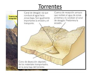 CUENCA DE RECEPCION
erosión (cárcavas)
reúne agua
CANAL DE DESAGÜE
BARRANCOS
transporte
CONO DE DEYECCIÓN
sedimentación
… RAMBLAS
Torrentes
 