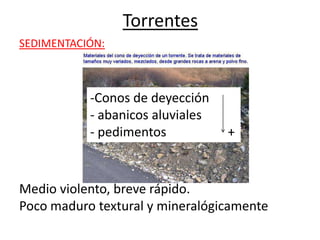 SEDIMENTACIÓN:
Medio violento, breve rápido.
Poco maduro textural y mineralógicamente
Torrentes
-Conos de deyección
- abanicos aluviales
- pedimentos +
 