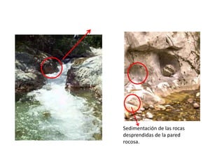 Sedimentación de las rocas
desprendidas de la pared
rocosa.
 