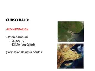 CURSO BAJO:
-SEDIMENTACIÓN
-Desembocadura
-ESTUARIO
- DELTA (depósito!)
(Formación de rías o fiordos)
 