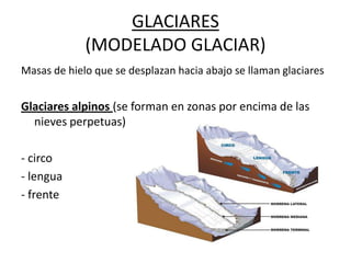 GLACIARES
(MODELADO GLACIAR)
Masas de hielo que se desplazan hacia abajo se llaman glaciares
Glaciares alpinos (se forman en zonas por encima de las
nieves perpetuas)
- circo
- lengua
- frente
 