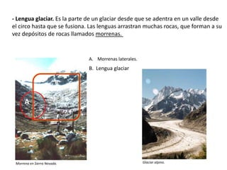 - Lengua glaciar. Es la parte de un glaciar desde que se adentra en un valle desde
el circo hasta que se fusiona. Las lenguas arrastran muchas rocas, que forman a su
vez depósitos de rocas llamados morrenas.
Morrena en Sierra Nevada.
A
B
A. Morrenas laterales.
Glaciar alpino.
B. Lengua glaciar
 