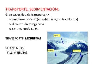 TRANSPORTE, SEDIMENTACIÓN:
Gran capacidad de transporte ->
no madurez textural (no selecciona, no transforma)
sedimentos heterogéneos
BLOQUES ERRÁTICOS
TRANSPORTE: MORRENAS
SEDIMENTOS:
TILL -> TILLITAS
 