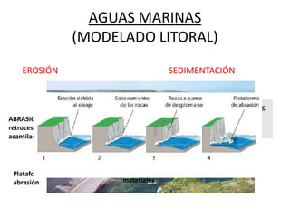 AGUAS MARINAS
(MODELADO LITORAL)
EROSIÓN SEDIMENTACIÓN
TRANSPORTE
ABRASIÓN:
retroceso
acantilado
Triturado y lavado
materiales
Plataforma de
abrasión
Playas
-Con rocas heterogéneas se producen zonas salientes
-cabos, calas, bahías, ensenadas…
-Rocas homogéneas forman costas rectas
 