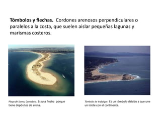 Tómbolos y flechas. Cordones arenosos perpendiculares o
paralelos a la costa, que suelen aislar pequeñas lagunas y
marismas costeros.
Tómbolo de trafalgar. Es un tómbolo debido a que une
un islote con el continente.
Playa de Somo, Cantabria. Es una flecha porque
tiene depósitos de arena.
 