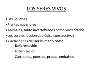 LOS SERES VIVOS
•Los líquenes
•Plantas superiores
•Animales, tanto invertebrados como vertebrados
•Los corales (acción geológica constructiva)
•Y actividades del ser humano como:
Deforestación
Urbanización
Carreteras, puertos, presas, embalses
 