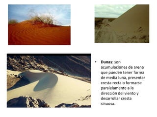 • Dunas: son
acumulaciones de arena
que pueden tener forma
de media luna, presentar
cresta recta o formarse
paralelamente a la
dirección del viento y
desarrollar cresta
sinuosa.
 