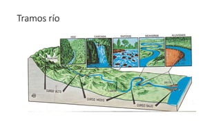 Tramos río