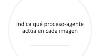Indica qué proceso-agente
actúa en cada imagen
